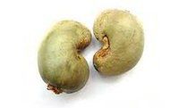 Cashew Kernel